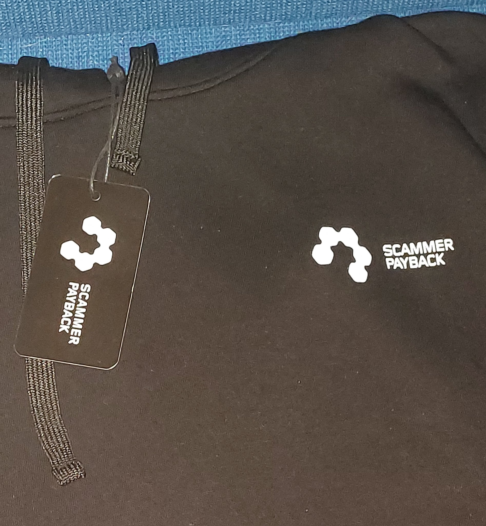 Scammer Payback Hoodie